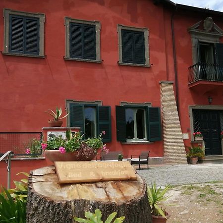Vigna Dell'Agrifoglio - Bed And Breakfast Velletri Exterior photo