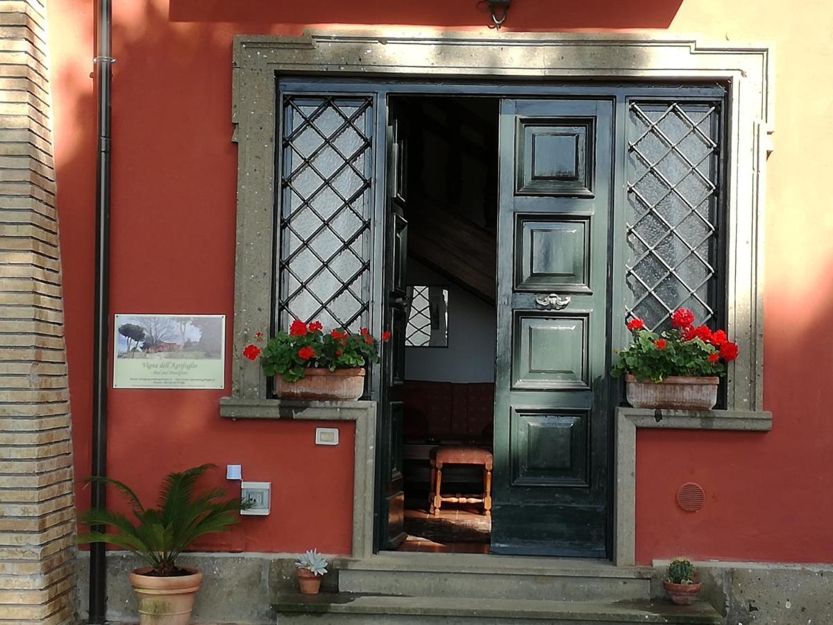 Vigna Dell'Agrifoglio - Bed And Breakfast Velletri Exterior photo