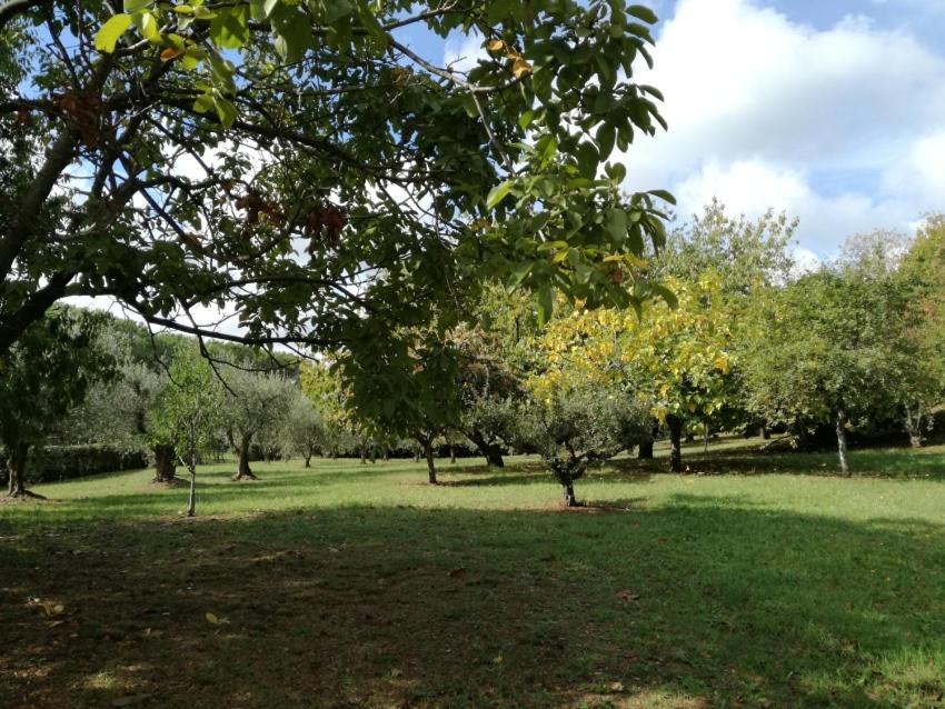 Vigna Dell'Agrifoglio - Bed And Breakfast Velletri Exterior photo