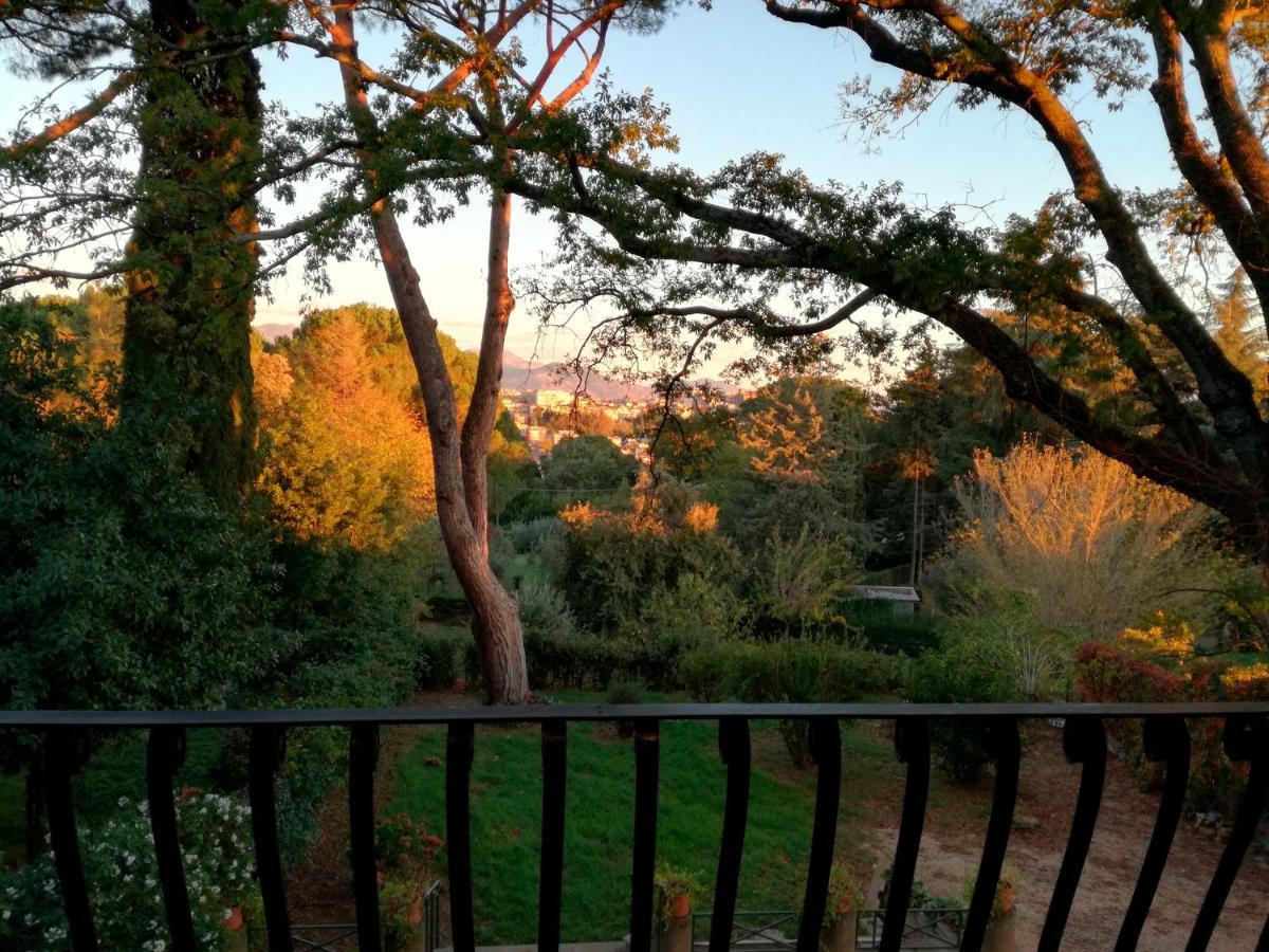 Vigna Dell'Agrifoglio - Bed And Breakfast Velletri Exterior photo