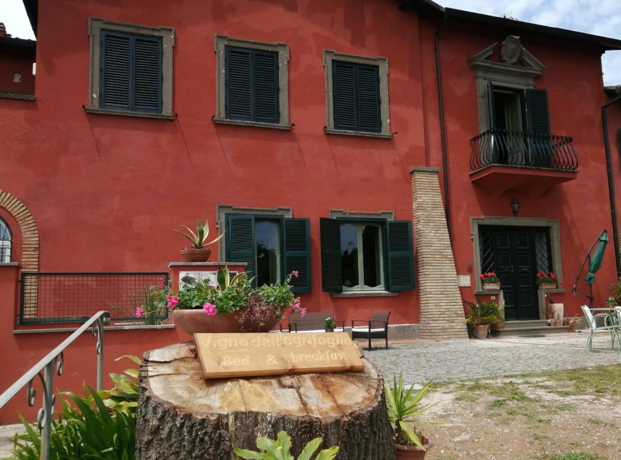 Vigna Dell'Agrifoglio - Bed And Breakfast Velletri Exterior photo