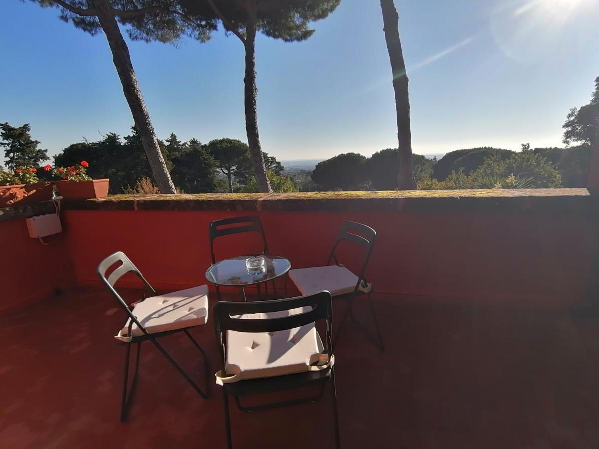 Vigna Dell'Agrifoglio - Bed And Breakfast Velletri Exterior photo